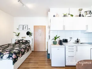 Pronájem bytu 1+kk, Praha - Hostivař, Vladycká, 28 m2