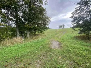 Prodej pozemku, Černá v Pošumaví, 4978 m2