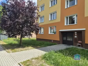 Prodej bytu 1+1, Líně, Vodárenská, 36 m2