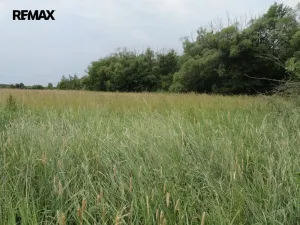 Prodej pole, Rožmitál pod Třemšínem, 1202 m2