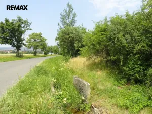 Prodej lesa, Rožmitál pod Třemšínem, 3871 m2
