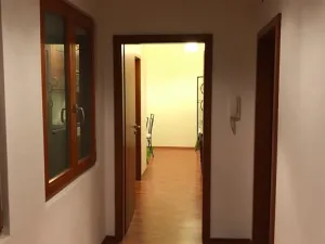 Pronájem bytu 2+1, Praha - Smíchov, Holečkova, 66 m2
