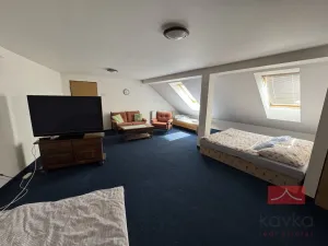 Prodej rodinného domu, Chřenovice, 286 m2