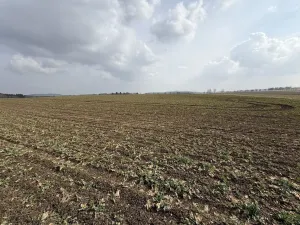 Prodej pole, Toužim - Kojšovice, 25962 m2