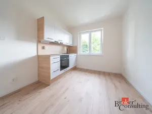 Pronájem bytu 1+1, Ostrava - Mariánské Hory, Cottonové, 37 m2
