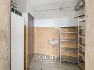 Prodej obchodního prostoru, Jihlava, Buková, 234 m2