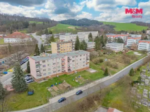 Pronájem bytu 2+1, Plasy, Stará cesta, 55 m2
