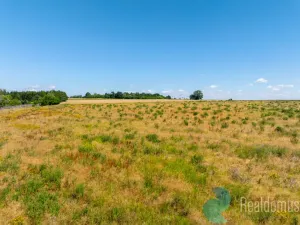 Prodej pozemku pro bydlení, Litvínovice - Šindlovy Dvory, 1019 m2