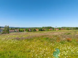 Prodej pozemku pro bydlení, Litvínovice - Šindlovy Dvory, 1010 m2