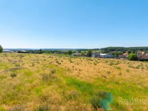 Prodej pozemku pro bydlení, Litvínovice - Šindlovy Dvory, 1010 m2