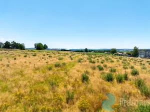 Prodej pozemku pro bydlení, Litvínovice - Šindlovy Dvory, 1010 m2