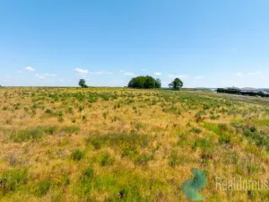 Prodej pozemku pro bydlení, Litvínovice - Šindlovy Dvory, 1010 m2