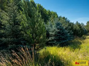 Prodej pole, Znojmo, 5202 m2