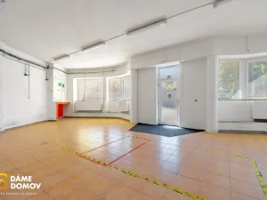 Prodej rodinného domu, Uherský Brod, 510 m2