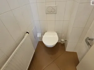 Pronájem bytu 1+1, Praha - Vinohrady, Italská, 65 m2