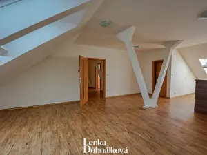 Pronájem bytu 3+kk, Hodonín, 115 m2