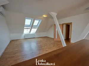 Pronájem bytu 3+kk, Hodonín, 115 m2