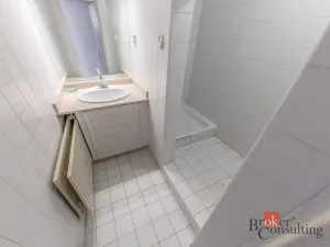 Prodej rodinného domu, Praha - Točná, K Hradišti, 210 m2