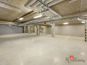 Pronájem bytu 2+kk, Plzeň - Jižní Předměstí, Železná, 60 m2