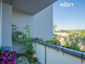 Prodej bytu 2+1, Mohelnice, nám. Kosmonautů, 56 m2