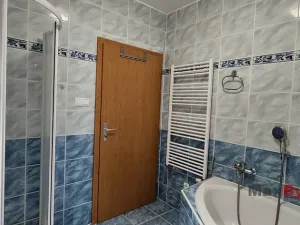 Pronájem bytu 1+kk, Liberec, Hanychovská, 47 m2