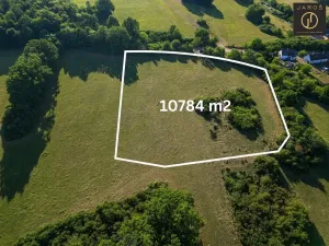 Prodej pozemku pro bydlení, Mirotice - Bořice, 10784 m2