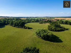Prodej pozemku pro bydlení, Mirotice - Bořice, 10784 m2