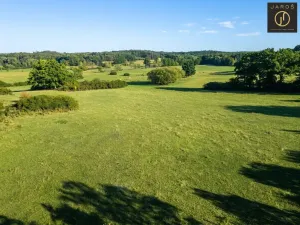 Prodej pozemku pro bydlení, Mirotice - Bořice, 10784 m2