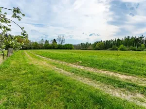 Prodej rodinného domu, Loket, 80 m2
