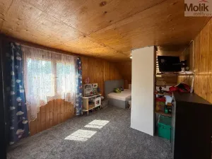 Prodej chaty, Bořislav - Bílka, 124 m2