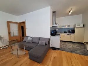 Pronájem bytu 2+kk, Brno, Holzova, 62 m2