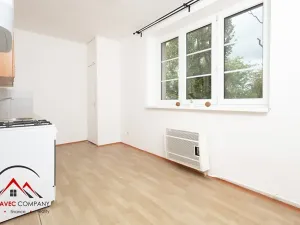 Pronájem bytu 1+1, Ostrava, Newtonova, 41 m2