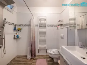 Pronájem bytu 1+kk, Tachov, Kostelní, 26 m2