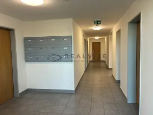 Pronájem bytu 2+kk, České Budějovice, Františka Jelena, 58 m2