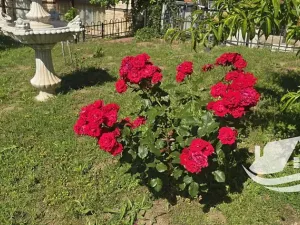 Prodej bytu 2+kk, Sozopol, Bulharsko, 53 m2