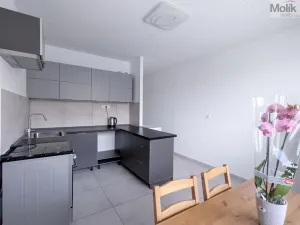 Prodej bytu 1+1, Teplické Předměstí, Sídliště Za Chlumem, 35 m2