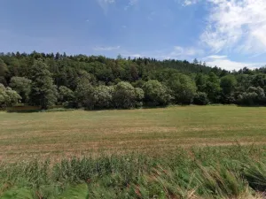 Prodej louky, Sázava - Čeřenice, 3578 m2