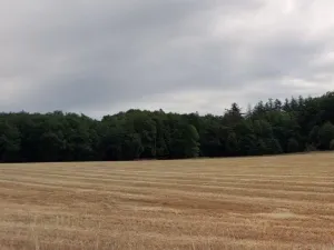 Prodej louky, Bystřice - Líštěnec, 327 m2