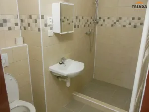 Pronájem bytu 1+1, Turnov, Mariánské náměstí, 24 m2
