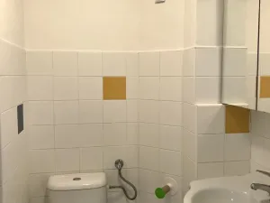 Pronájem bytu 1+kk, Praha, Na Čečeličce, 24 m2