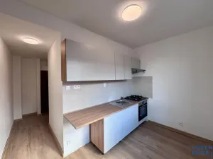 Pronájem bytu 1+1, Jirkov, Ervěnická, 35 m2