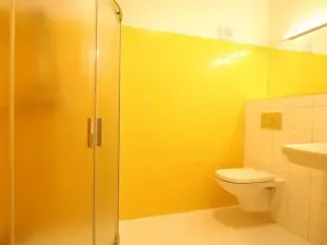 Pronájem bytu 1+kk, Brno, Řadová, 20 m2