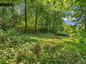Prodej chalupy, Dolní Dobrouč - Horní Dobrouč, 151 m2