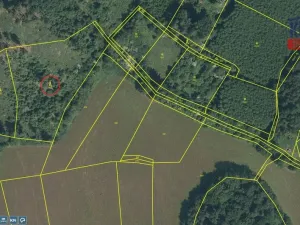 Prodej lesa, Oselce, 6402 m2