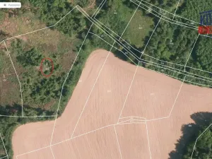 Prodej lesa, Oselce, 6402 m2