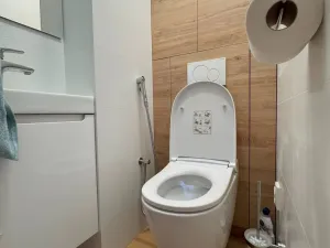 Pronájem bytu 3+1, Česká Skalice, Riegrova, 74 m2