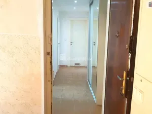 Prodej bytu 1+1, Brno - Veveří, Tučkova, 35 m2