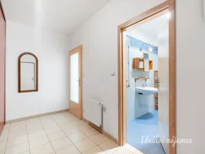Pronájem bytu 1+kk, Praha - Vysočany, Na Harfě, 43 m2