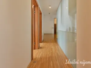 Pronájem bytu 4+kk, Brno, Trýbova, 131 m2