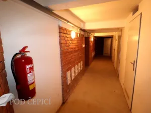 Pronájem atypického bytu, Brno - Královo Pole, Palackého třída, 23 m2